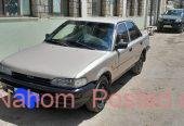 እትሽየጥ Toyota woyane