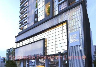 0b2125d9-7c22-493e-a434-db266bc51479