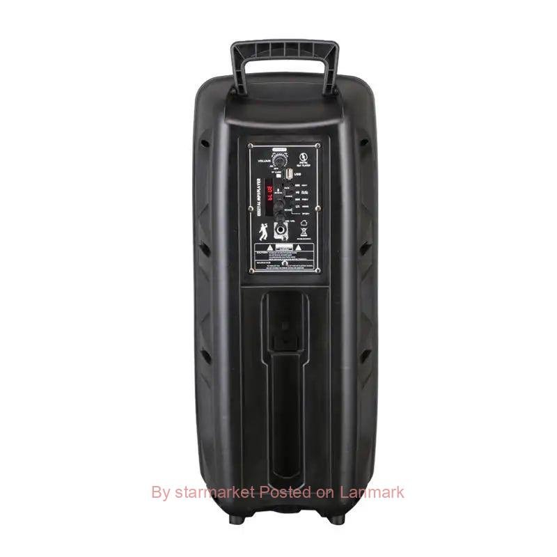 Super bass wireless speaker with microphones