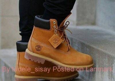 8a583c13-fe3b-4307-abd5-0da6af6f181c