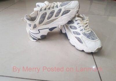 9c892ff2-26a7-4044-b6a2-0557ecd70382