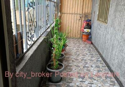 172c01bd-6f73-4e72-b03d-44df29bc2930