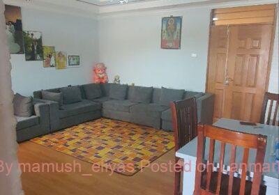 55b4109a-15eb-4fa0-8d7a-17d7fcf0529c