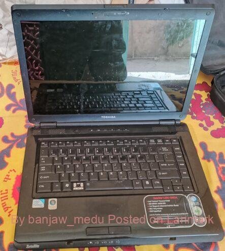 Satellite L305