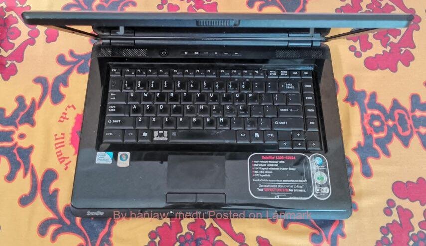 Satellite L305