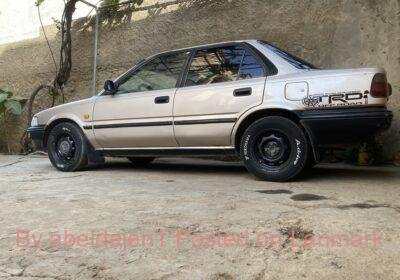 FA9F6AE1-95D3-419D-A30D-266F33B4911E-1