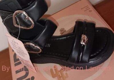 d035092b-2fd0-4f59-84ea-b8701a6bba06