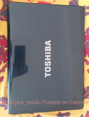 Satellite L305