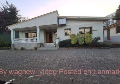 1d93a75e-11d1-434d-952f-9a049f873fb1-4