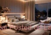 Luxury Apartment
