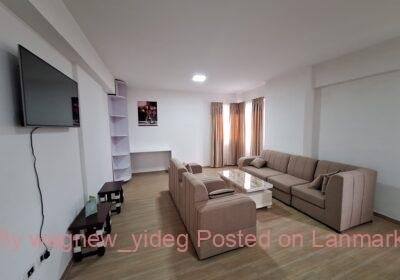 6ea55abc-0863-4bf6-a330-73a1d660c1a4-5