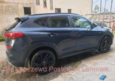 6aa06ded-7c2b-43ec-b7ba-f08f5e088f5b