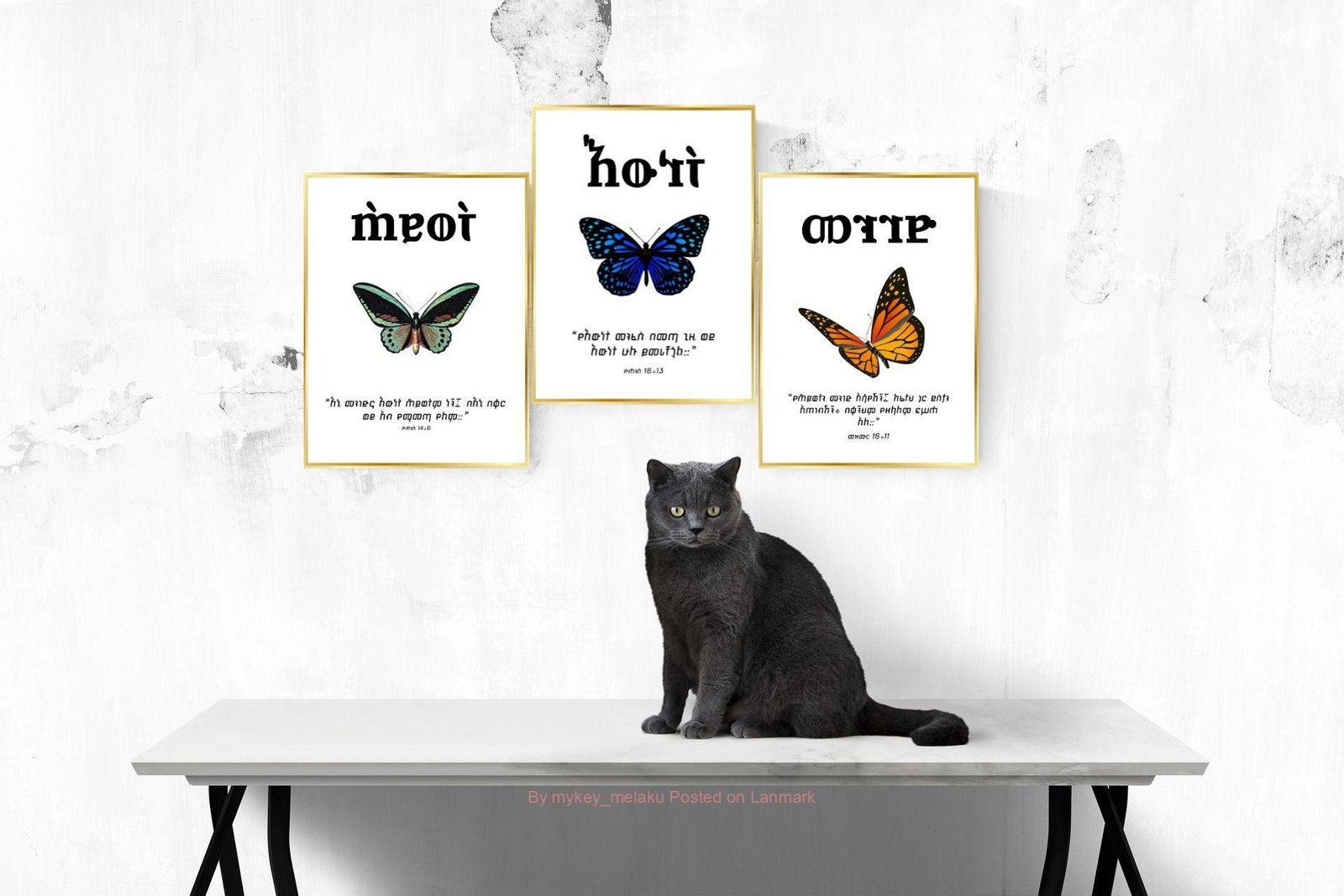 ኢፖክስ የግድግዳ ምስሎች