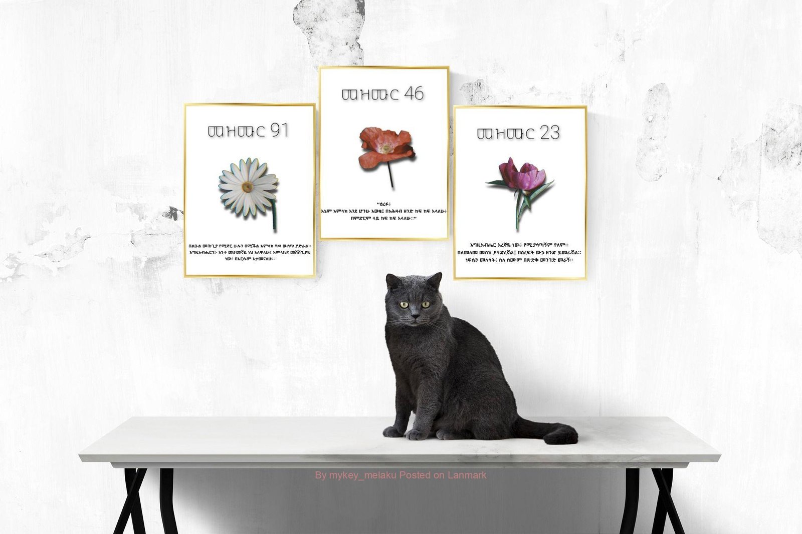 ኢፖክስ የግድግዳ ምስሎች