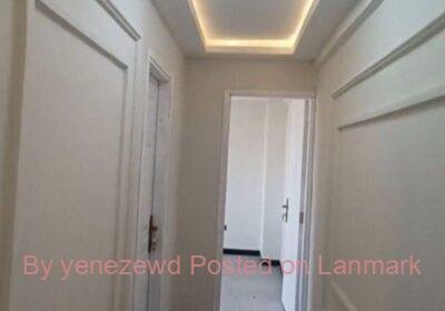 b0791de8-e196-417b-bd35-68426132c768