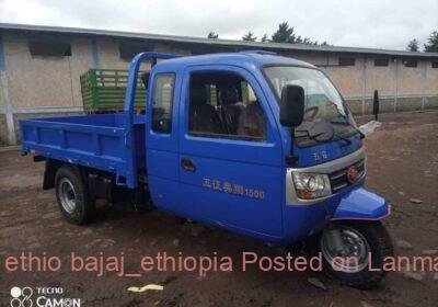 1114ed69-a8bc-4c1a-b27c-3512039655a5