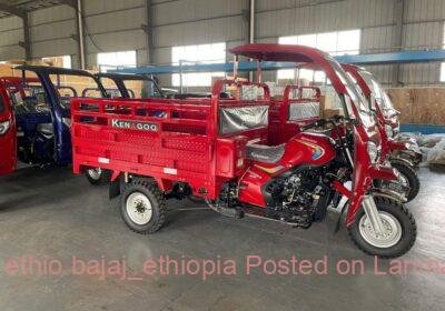 f2e02f41-8105-4a5a-bf4d-c25ebd38f22d