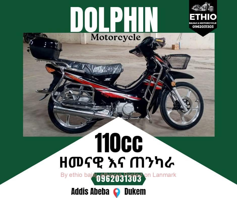 Dolphin 110cc motorcycle