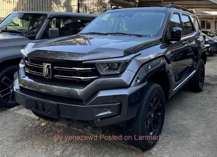 Brand New Tank400 Hybrid 2024 Ev Car