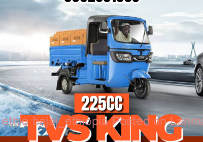 1f4ee0f4-379b-41bf-aa1e-1ffe2a07602d