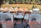 Dining BAR RESTAURANT 🍸 HOTEL Chairs