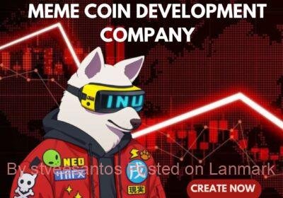 MEME-COIN-DEVELOPMENT-COMPANY-8