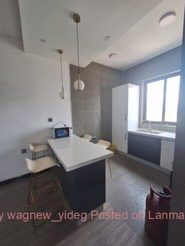Furnished apartment for rent