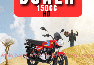 0b8f43e4-21a6-4cf4-84da-b87960d690cb