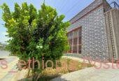 ለስራ ወይም ለመኖሪያ የሚሆን ቦታ እና ቤት ይሸጣል 📍አዳማ📞0909515025