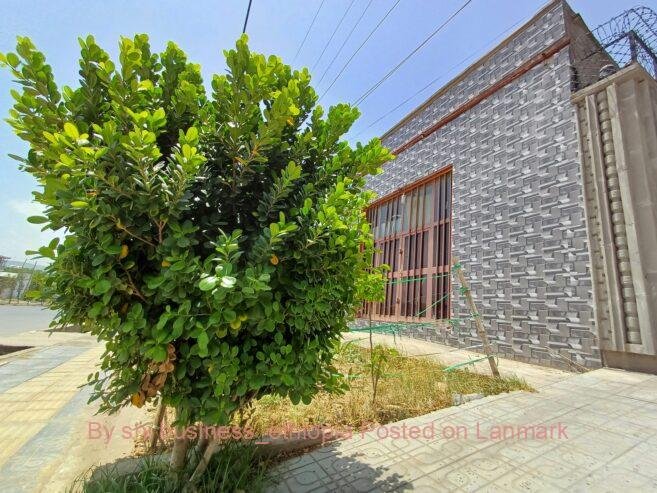 ለስራ ወይም ለመኖሪያ የሚሆን ቦታ እና ቤት ይሸጣል 📍አዳማ📞0909515025