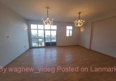 2207fa5a-cf96-480e-b10e-10f3bff28555