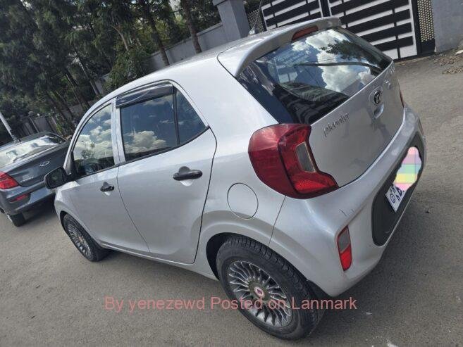 Brand Kia Picanto 2021 for sell