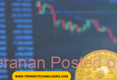 Blockchain Development Company