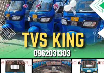 d8f6dab6-c993-409d-96c1-1244b87aca45