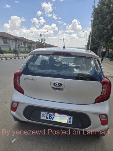 Brand Kia Picanto 2021 for sell