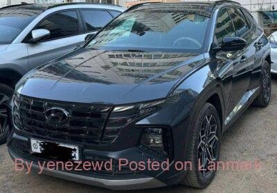 c4414146-12d5-4f82-8586-549eee86cf1e