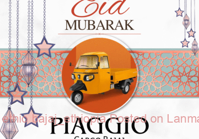 fbfba0a1-00d1-4e8d-9321-094770ae0300