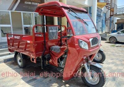 4afc4667-7595-413a-af5b-af014a4782ca