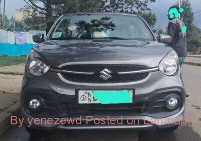 4c791cb0-be0f-426c-9948-476e61efab1f