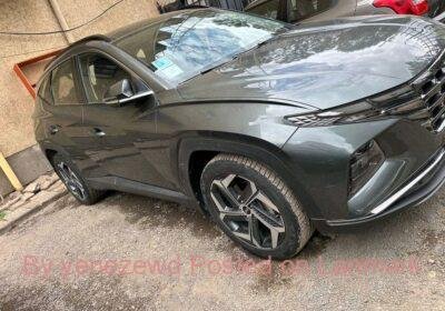 7ab84cdd-0291-40d6-a034-4bf78333b500