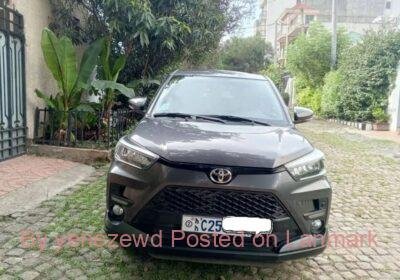 e180130a-910e-42b4-86c3-09d2cf3e07ab