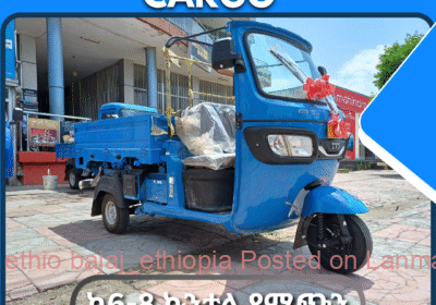 f72d4cfe-cd61-454c-abda-5929f03daf47