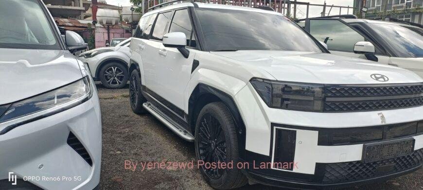 Brand New Hyundai Santafe 2024/11 Hybrid Vehicle for sell