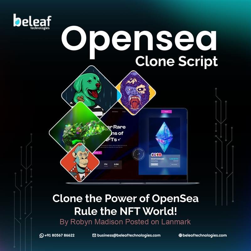 Top-Rated OpenSea Clone Script – Understandable Code, Fast Launch