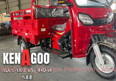 ed38fab2-d497-488e-ada3-a4c074f85d5c