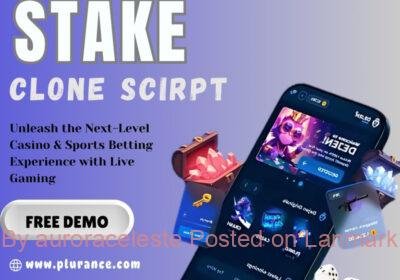 stake-script-1