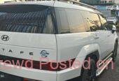 Brand New Hyundai Santafe 2024/11 hybrid car for sell