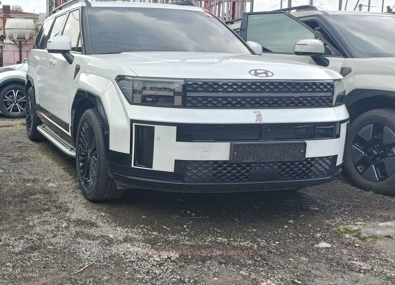 Brand New Hyundai Santafe 2024/11 hybrid car for sell