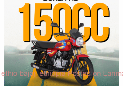9224ae43-0405-4259-bb35-a3f40dfbe9a1