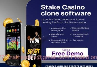 stake-clone-script-1